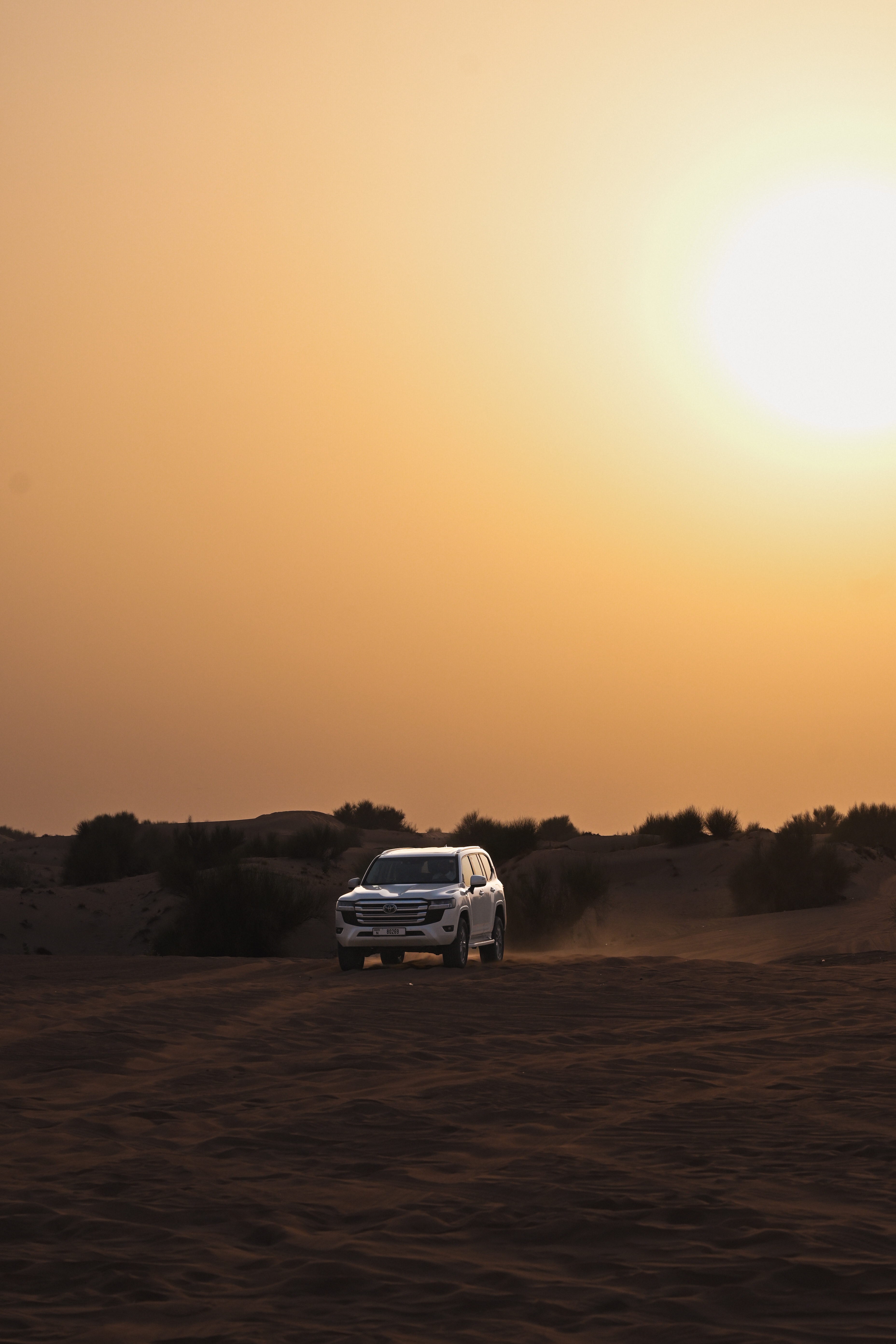 PİCART'IN GÖZÜNDEN DUBAİ ÇÖLÜNÜ KEŞFEDİN!