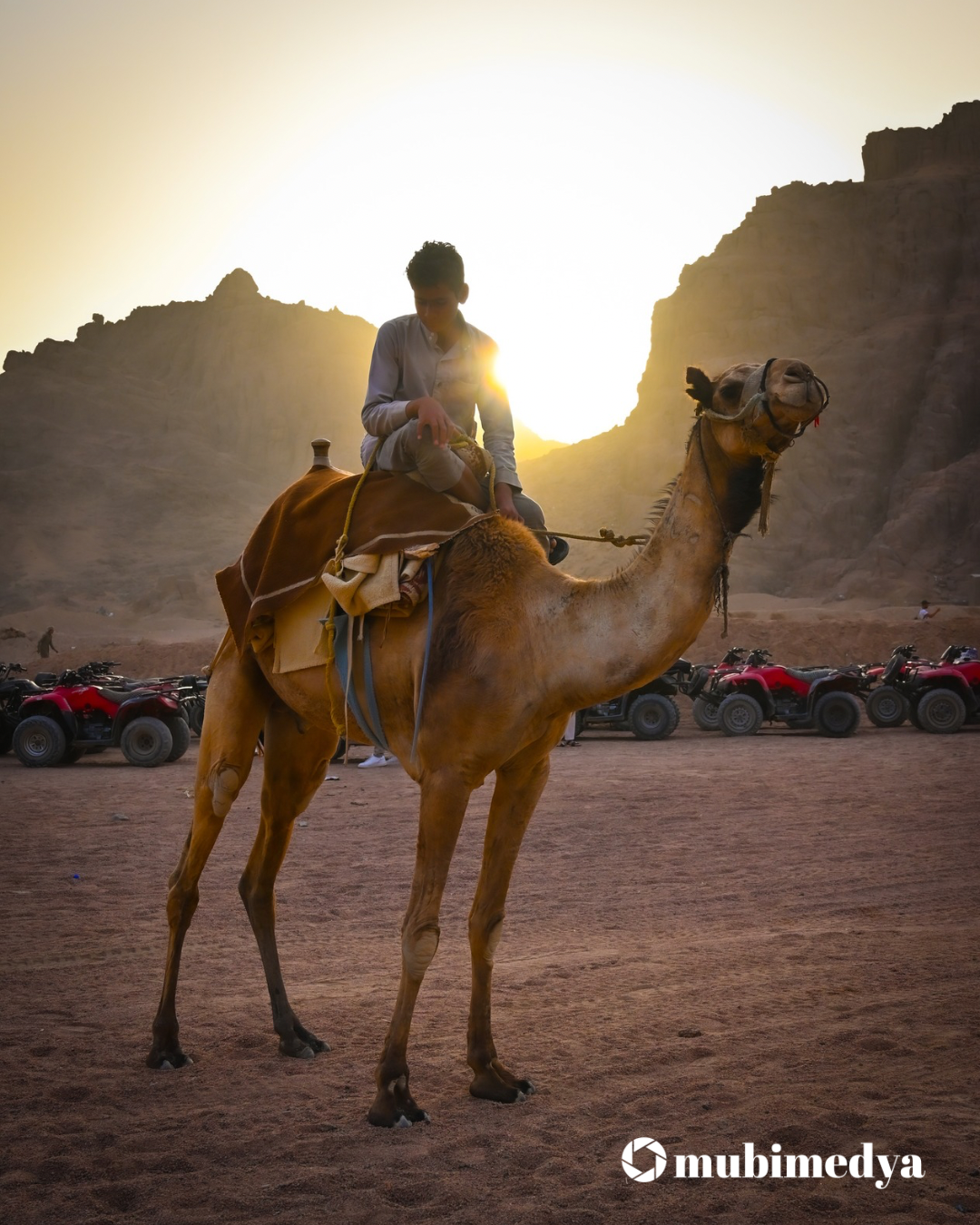 TERS IŞIKTA PİCART