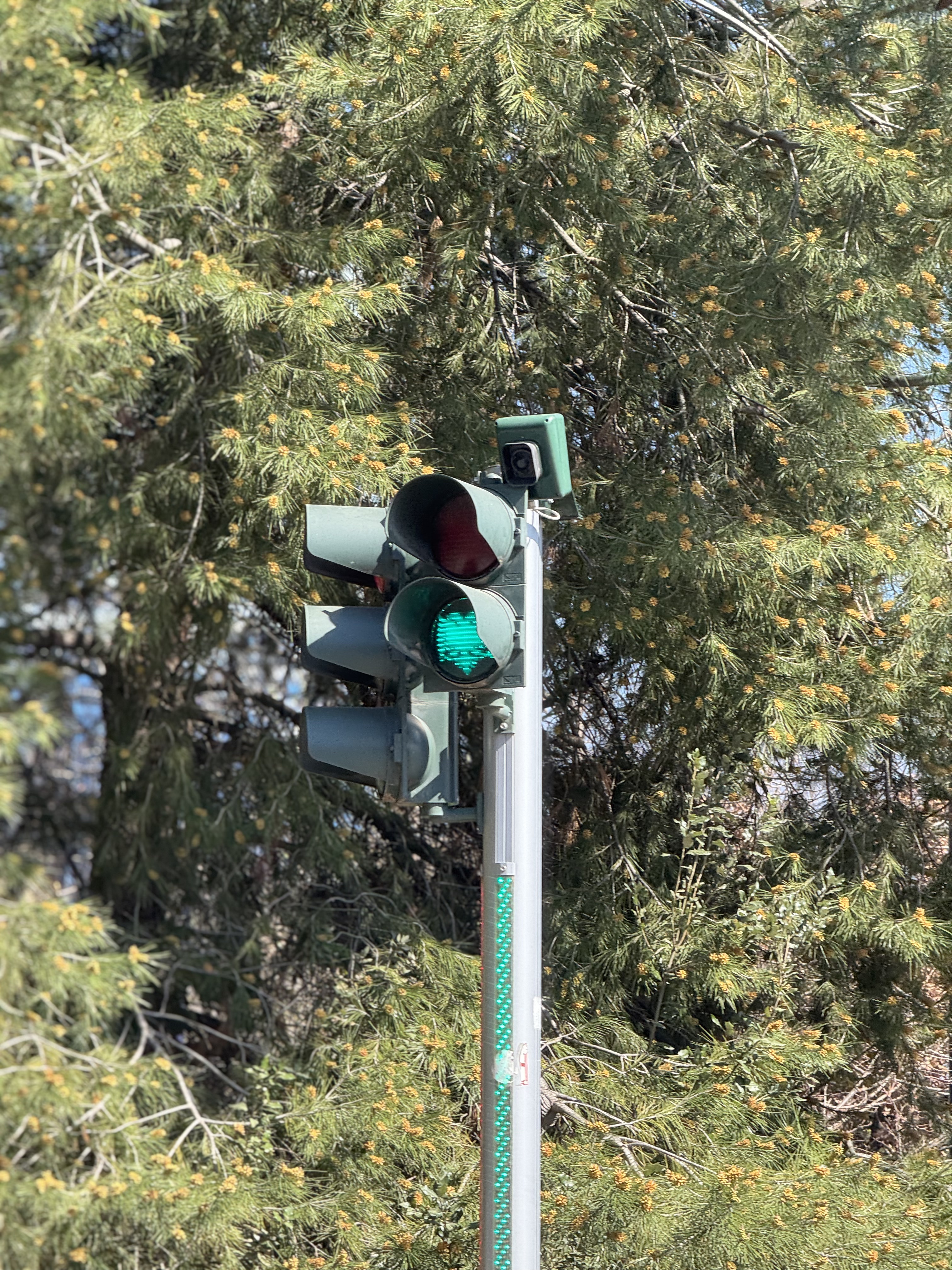 PİCART'IN GÖZÜNDEN ARNAVUTLUK!